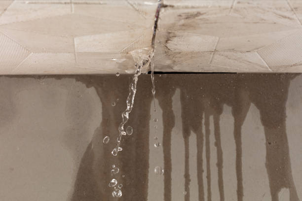 Professional Water Damage Inspection technician working in Mountain City, TN
